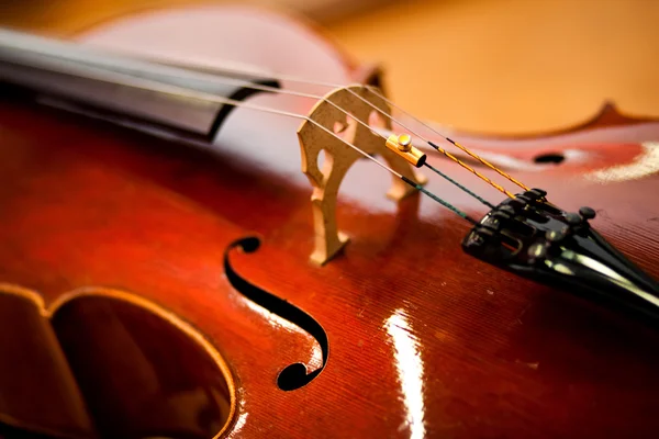 Vintage violin — Stock Photo, Image