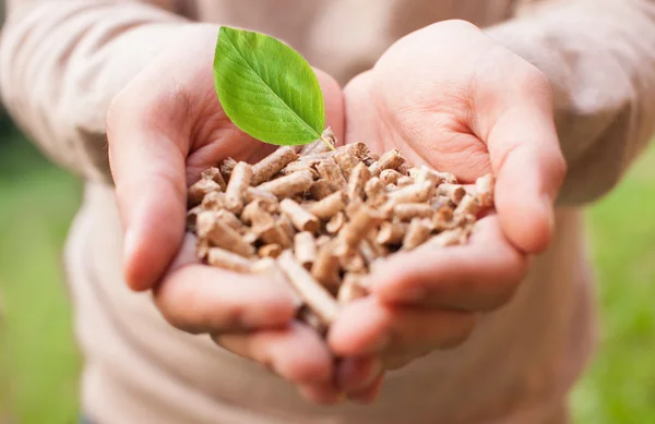 Uomo in possesso di pellet di legno — Foto Stock