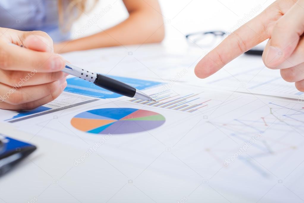 minervastock