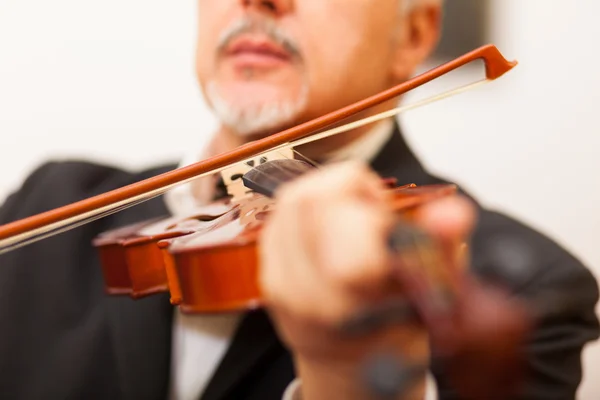 Músico tocando su violín —  Fotos de Stock