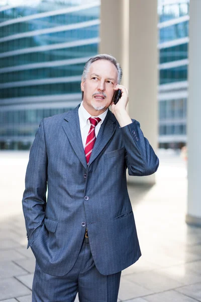 Uomo d'affari che parla al telefono — Foto Stock