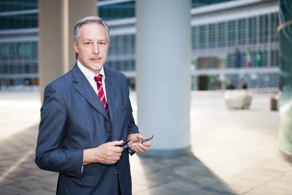 Selbstbewusstes Unternehmerporträt — Stockfoto