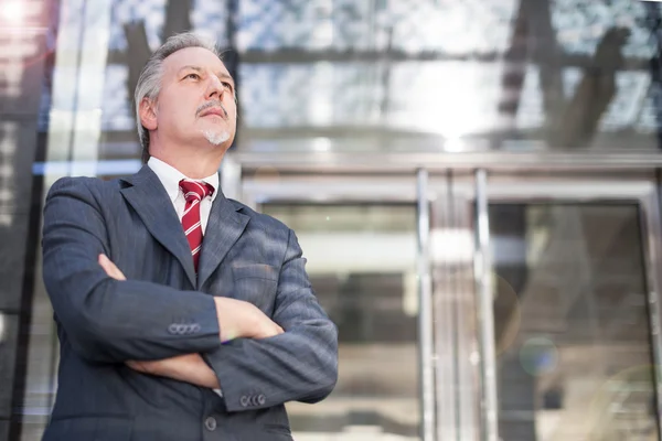 Retrato de empresário — Fotografia de Stock