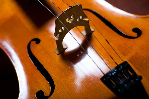 Fechar violino — Fotografia de Stock