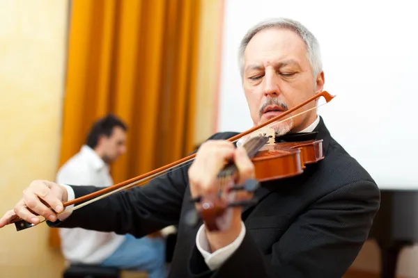 Senior violinist — Stock Photo, Image