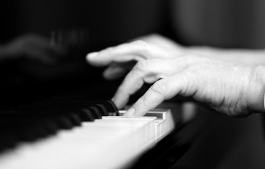 piyano klavye çalmaya müzisyen