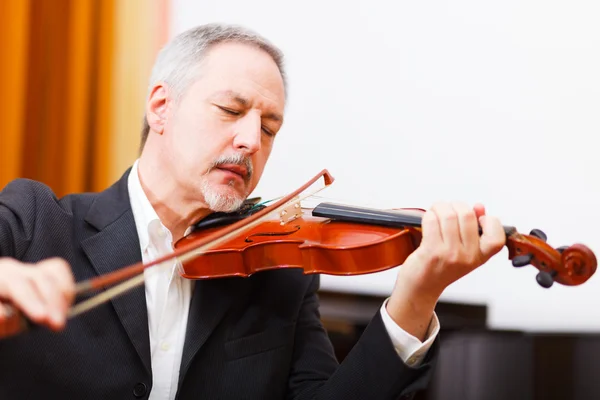 Musiker spelar sin fiol — Stockfoto