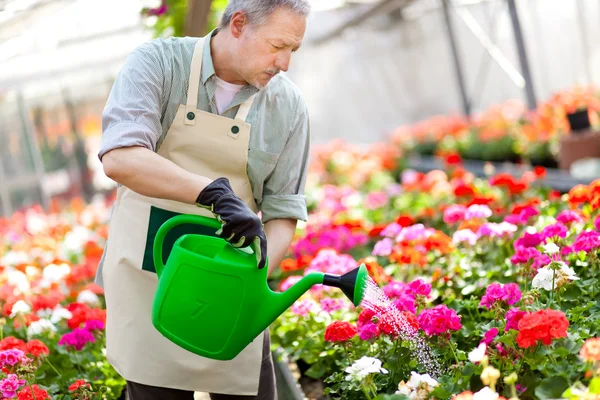 Plantas de riego para trabajadores — Foto de Stock