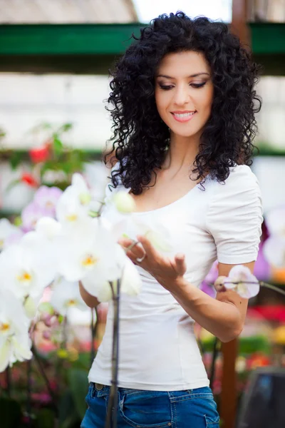 Žena při pohledu na orchideje — Stock fotografie