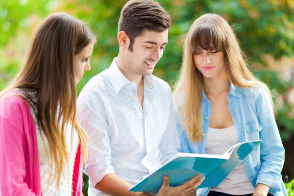 Students talking in a park — Stock Photo, Image