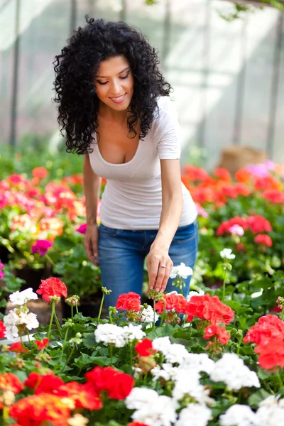 Woman looking to flowers in a greenhouse — Stock Photo, Image
