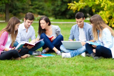 Students studying outdoor