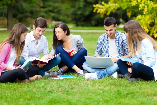 Studenti studující venkovní — Stock fotografie