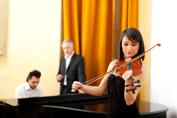 Musicians playing chamber music — Stock Photo, Image