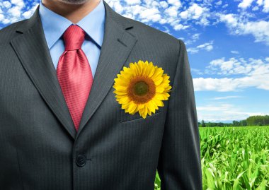 işadamı ayçiçeği cebinde tutuyor.