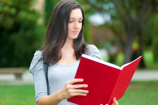 Studerande läser en bok — Stockfoto