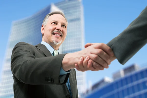 Business people shaking hands — Stock Photo, Image