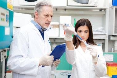 bilim adamları bir laboratuvar çalışmalarında