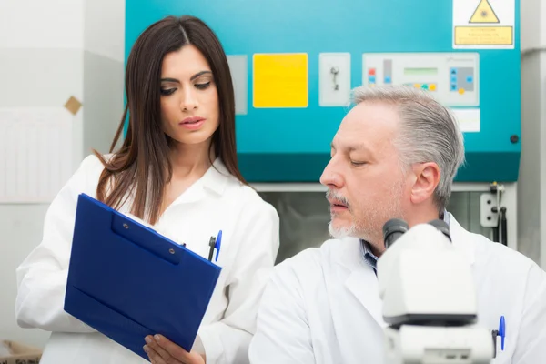 Wetenschappers aan het werk in een laboratorium — Stockfoto