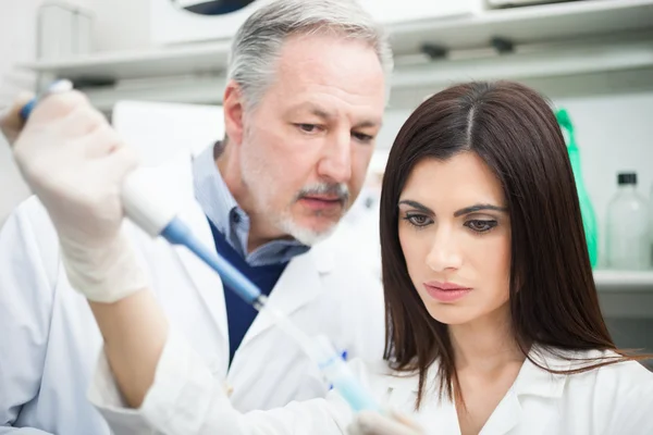 Wissenschaftler entnimmt Probe aus dem Reagenzglas — Stockfoto