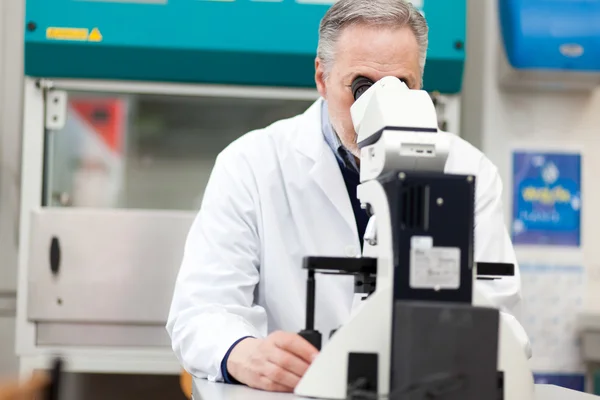 Biólogo maduro usando un microscopio — Foto de Stock