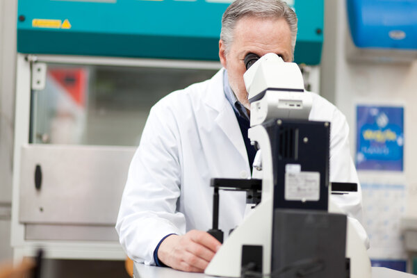 Mature biologist using a microscope