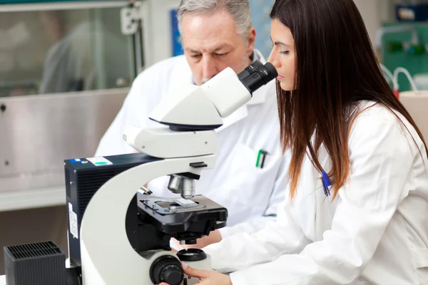 Vrouw met behulp van een microscoop in een laboratorium — Stockfoto