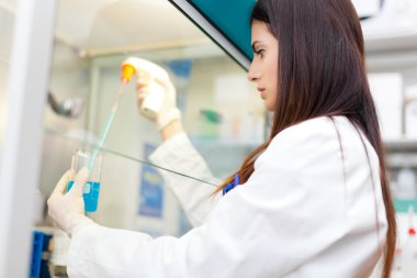 bir örnek bir test tüpü içinde koyarak bilim adamı