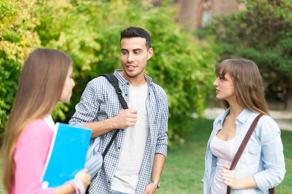 Studenten praten in een park — Stockfoto
