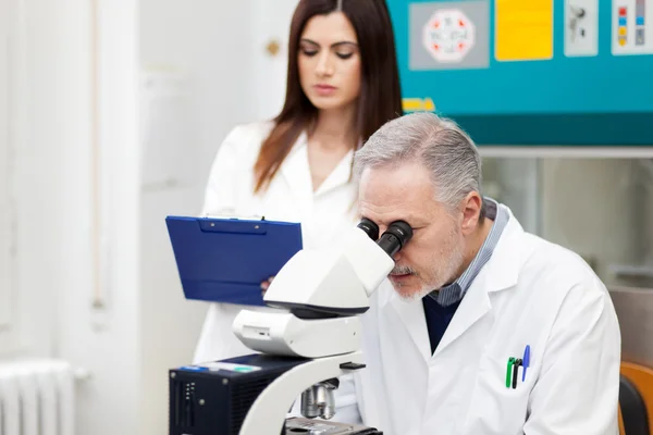 Pesquisador em trabalho em laboratório — Fotografia de Stock