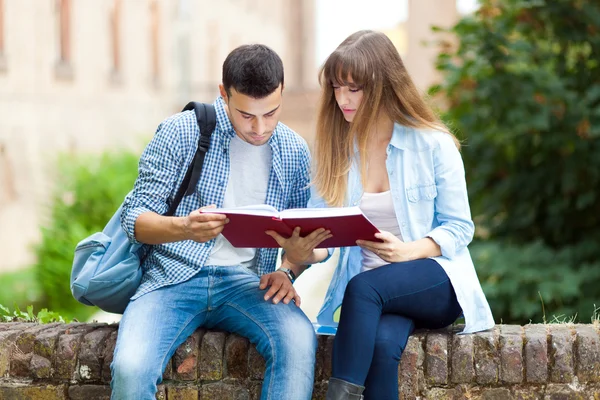 Students reading a book — Stock Photo, Image