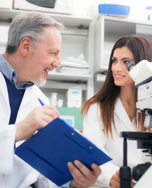 Onderzoekers op het werk — Stockfoto