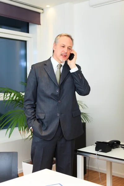 Empresário falando ao telefone — Fotografia de Stock