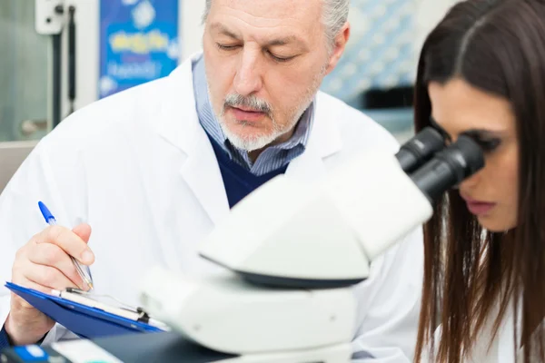 Människor i arbete i ett laboratorium — Stockfoto