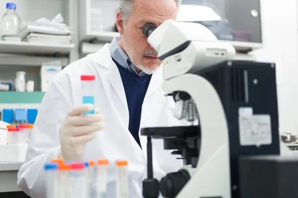 Homem no trabalho em laboratório — Fotografia de Stock