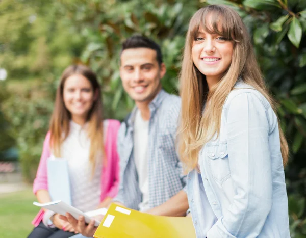 Grupo de estudiantes sonrientes —  Fotos de Stock