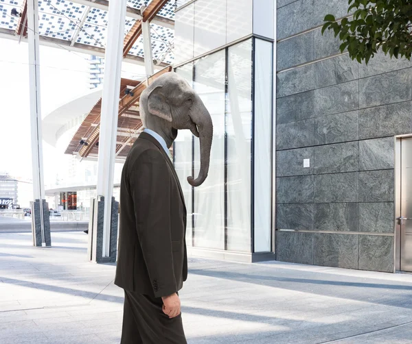 Business-Elefant im Freien — Stockbild Business-Elefant — Stockfoto