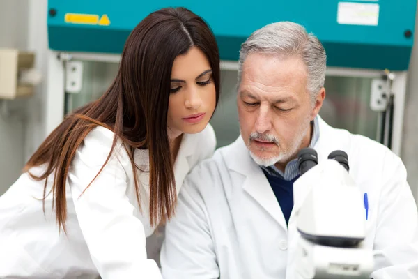 Par av forskare i ett laboratorium — Stockfoto