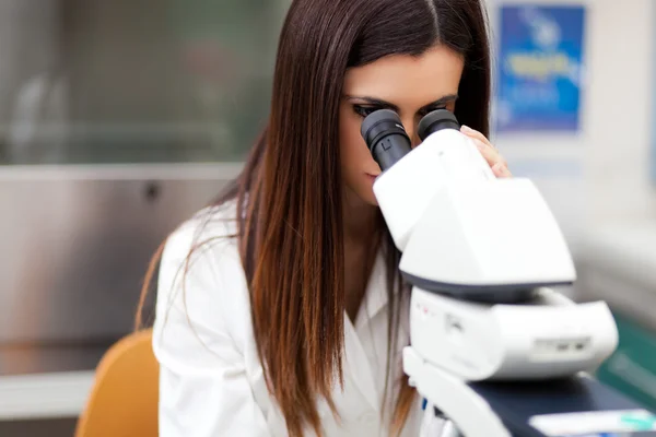 Scientifique travaillant dans un laboratoire — Photo