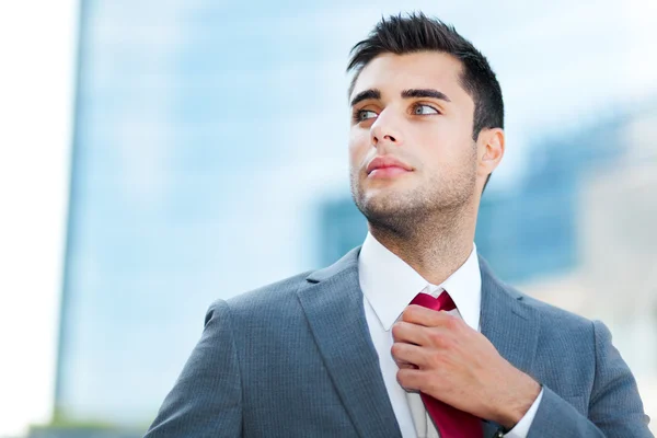 Businessman adjusting his tie Stock Image