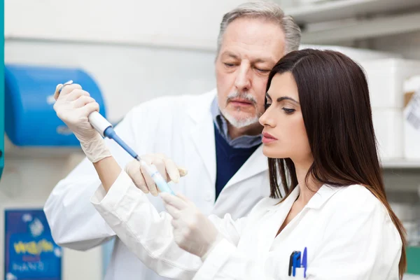 Wetenschapper onderzoeken in een laboratorium — Stockfoto