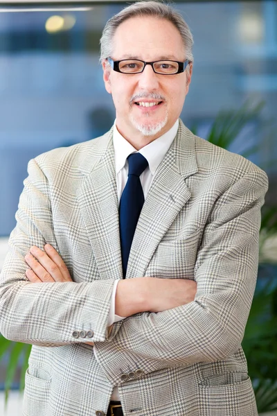 Senior businessman in a modern office — Stock Photo, Image