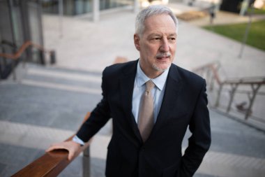 Merdivenlerden çıkan bir iş adamının portresi.