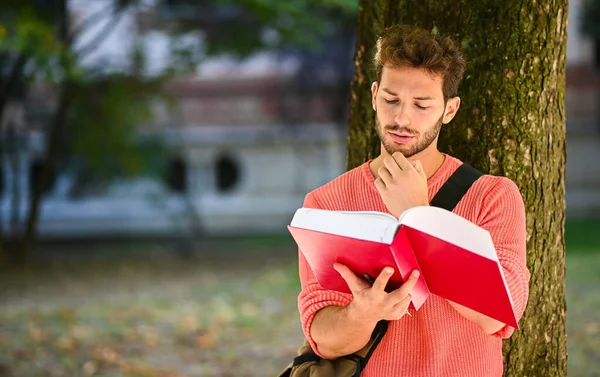 Joven Estudiante Masculino Leyendo Libro Tumbado Contra Árbol Parque —  Fotos de Stock