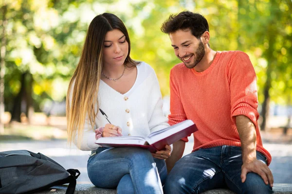 Due Studenti Che Studiano Insieme Seduti Una Panchina All Aperto — Foto Stock