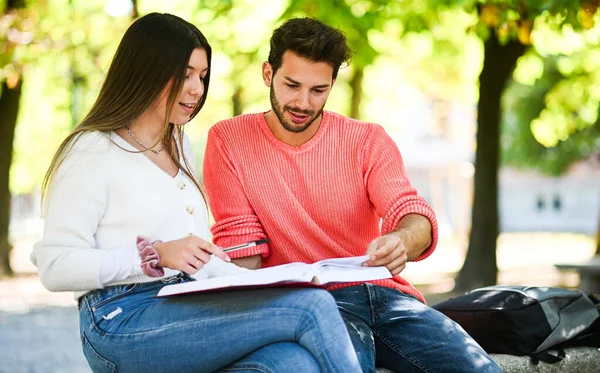 Deux Étudiants Étudient Ensemble Assis Sur Banc Extérieur — Photo