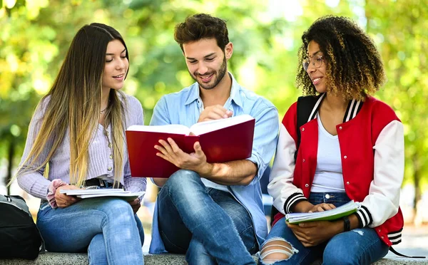 Tři Multietničtí Studenti Studující Společně Sedí Lavičce Venku — Stock fotografie