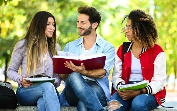 Tres Estudiantes Multiétnicos Estudiando Juntos Sentados Banco Aire Libre —  Fotos de Stock