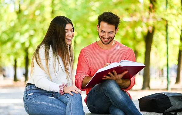 Dwóch Studentów Studiujących Razem Ławce Świeżym Powietrzu — Zdjęcie stockowe