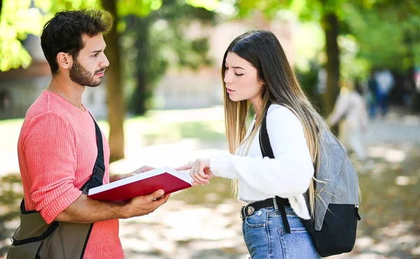 Dois Estudantes Masculino Feminino Conversando Livre Parque Universitário Enquanto Segurando — Fotografia de Stock